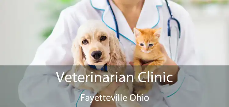 Veterinarian Clinic Fayetteville Ohio