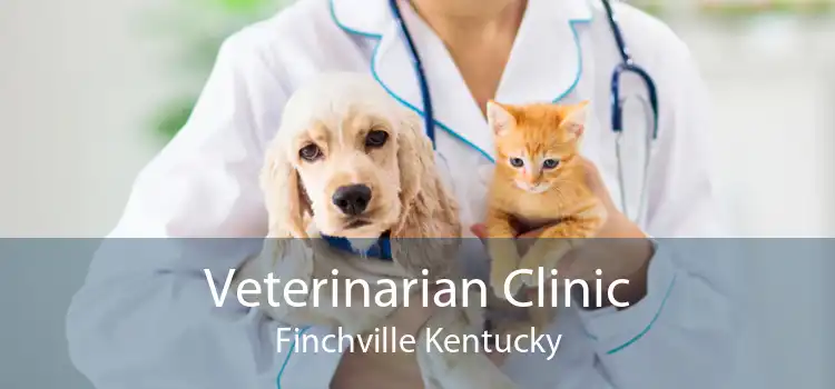 Veterinarian Clinic Finchville Kentucky