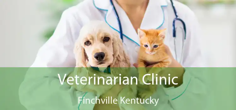 Veterinarian Clinic Finchville Kentucky