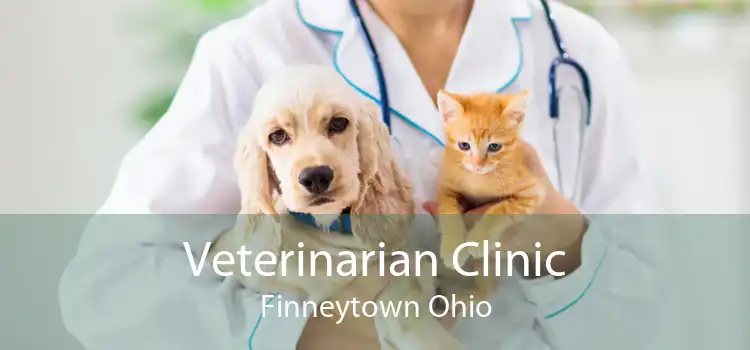 Veterinarian Clinic Finneytown Ohio