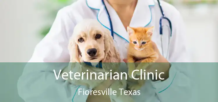 Veterinarian Clinic Fioresville Texas