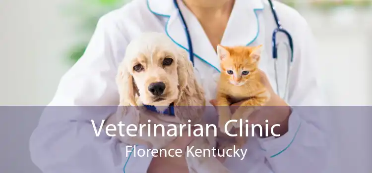 Veterinarian Clinic Florence Kentucky