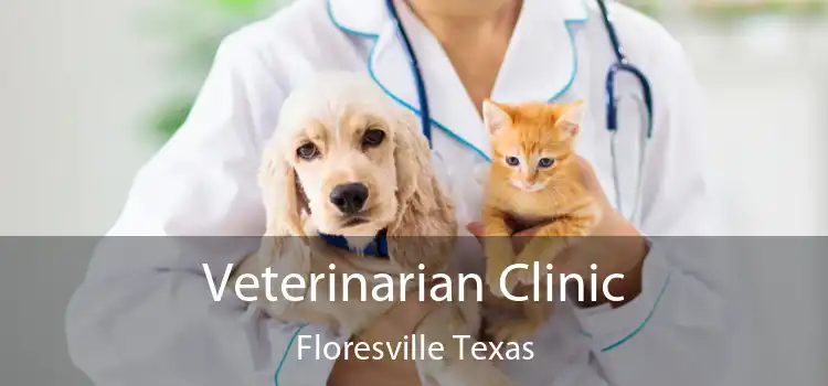 Veterinarian Clinic Floresville Texas