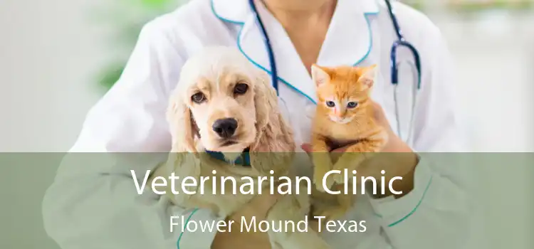 Veterinarian Clinic Flower Mound Texas