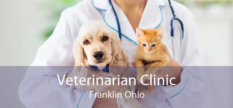 Veterinarian Clinic Franklin Ohio