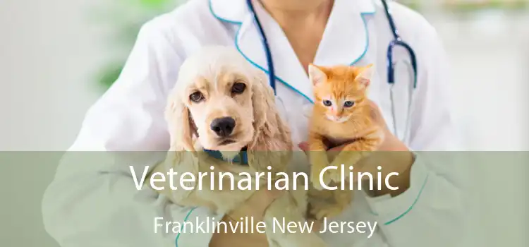 Veterinarian Clinic Franklinville New Jersey