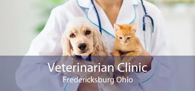 Veterinarian Clinic Fredericksburg Ohio