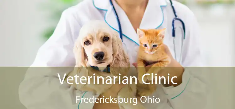 Veterinarian Clinic Fredericksburg Ohio