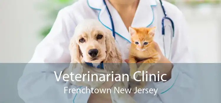 Veterinarian Clinic Frenchtown New Jersey