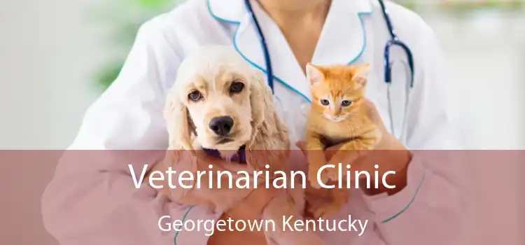 Veterinarian Clinic Georgetown Kentucky