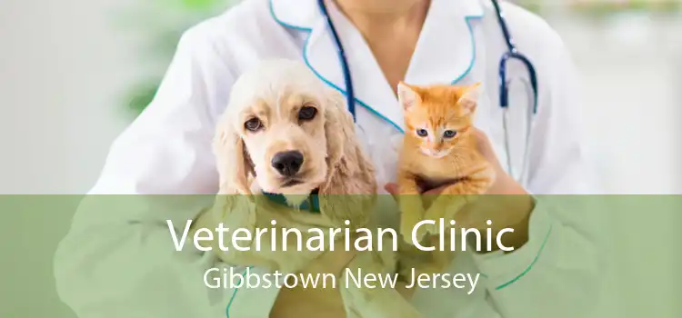 Veterinarian Clinic Gibbstown New Jersey