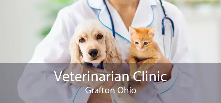 Veterinarian Clinic Grafton Ohio