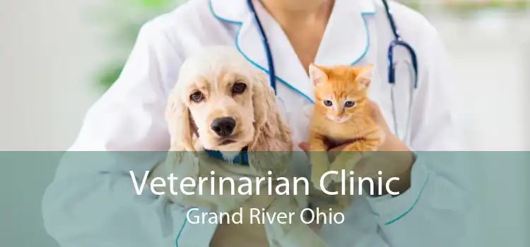 Veterinarian Clinic Grand River Ohio