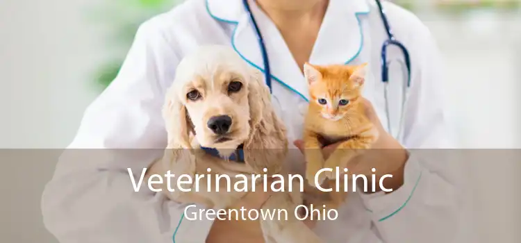 Veterinarian Clinic Greentown Ohio