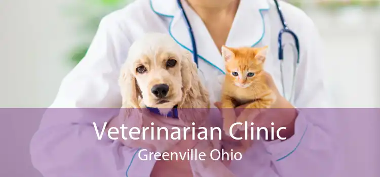 Veterinarian Clinic Greenville Ohio