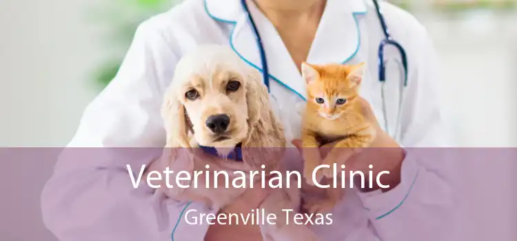 Veterinarian Clinic Greenville Texas