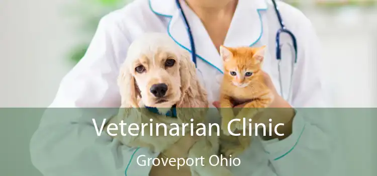 Veterinarian Clinic Groveport Ohio