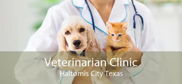Veterinarian Clinic Haltomis City Texas