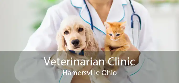 Veterinarian Clinic Hamersville Ohio