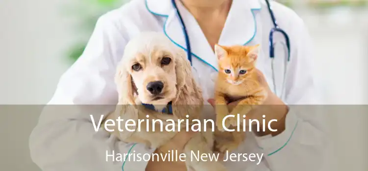 Veterinarian Clinic Harrisonville New Jersey