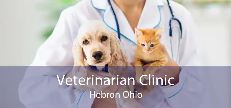 Veterinarian Clinic Hebron Ohio