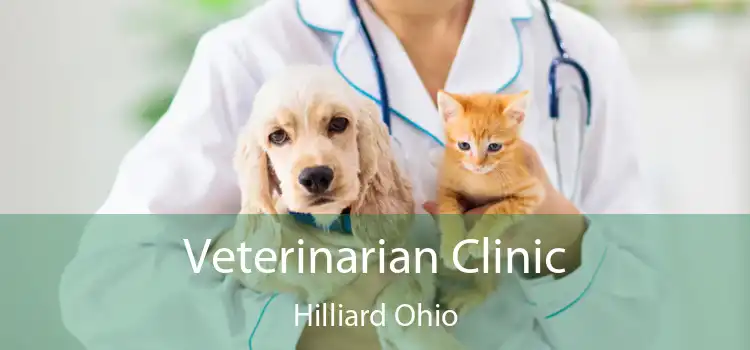 Veterinarian Clinic Hilliard Ohio