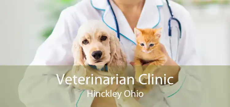 Veterinarian Clinic Hinckley Ohio