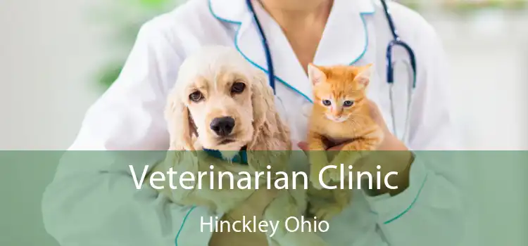 Veterinarian Clinic Hinckley Ohio