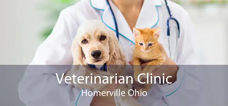 Veterinarian Clinic Homerville Ohio