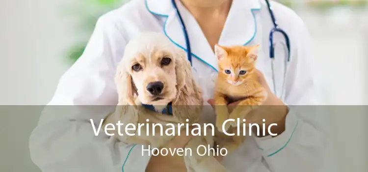 Veterinarian Clinic Hooven Ohio