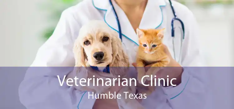 Veterinarian Clinic Humble Texas