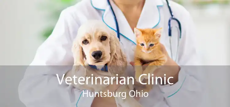 Veterinarian Clinic Huntsburg Ohio