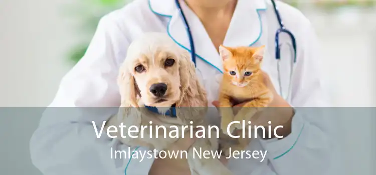 Veterinarian Clinic Imlaystown New Jersey