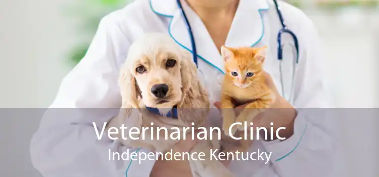 Veterinarian Clinic Independence Kentucky