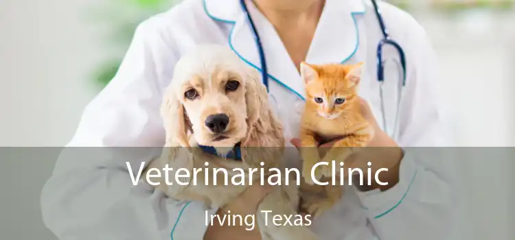Veterinarian Clinic Irving Texas