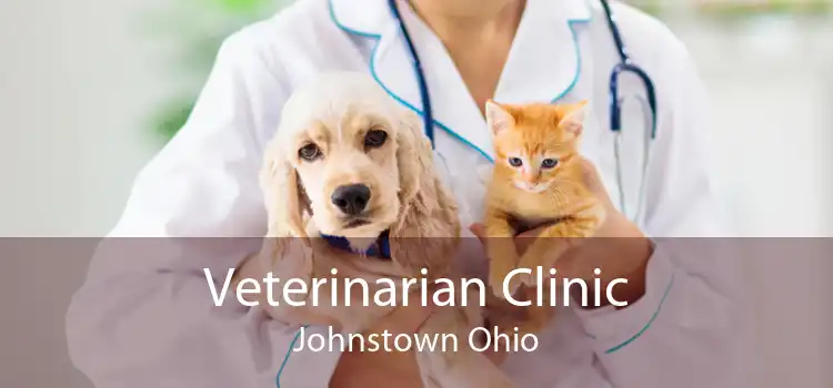 Veterinarian Clinic Johnstown Ohio