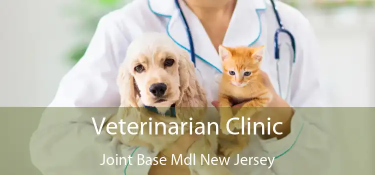 Veterinarian Clinic Joint Base Mdl New Jersey