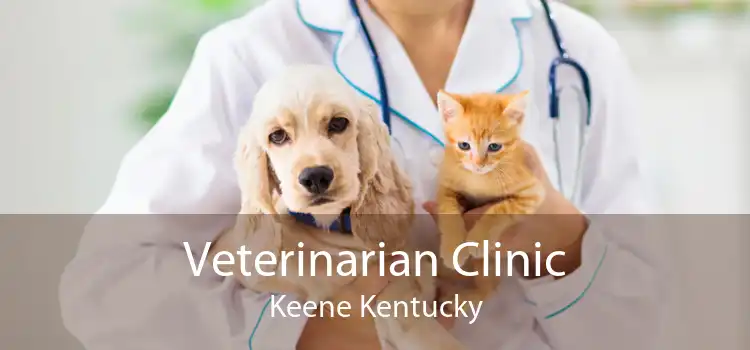 Veterinarian Clinic Keene Kentucky