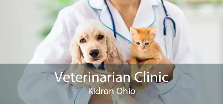 Veterinarian Clinic Kidron Ohio