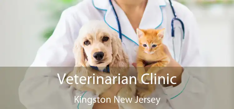 Veterinarian Clinic Kingston New Jersey