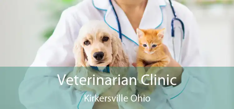 Veterinarian Clinic Kirkersville Ohio