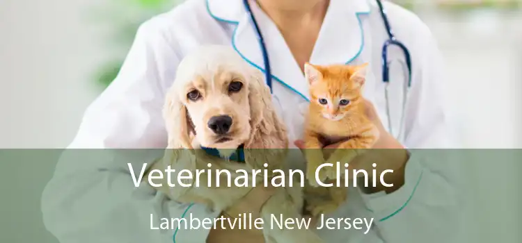 Veterinarian Clinic Lambertville New Jersey