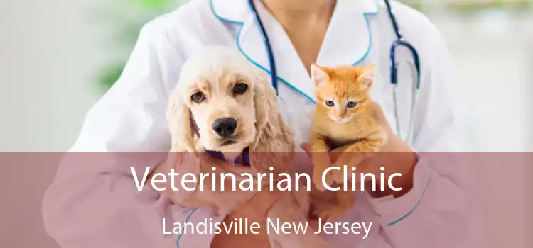 Veterinarian Clinic Landisville New Jersey