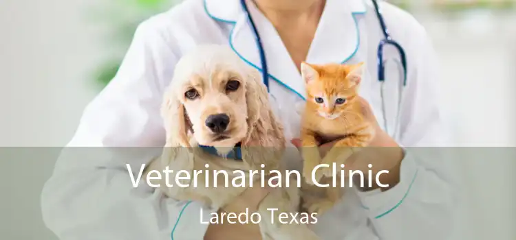 Veterinarian Clinic Laredo Texas