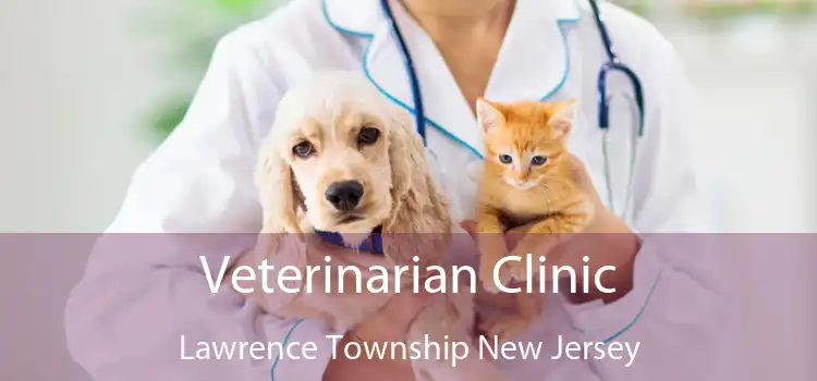 Veterinarian Clinic Lawrence Township New Jersey