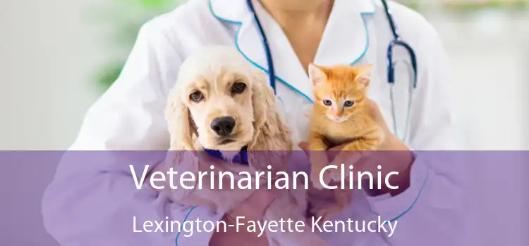 Veterinarian Clinic Lexington-Fayette Kentucky