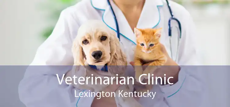 Veterinarian Clinic Lexington Kentucky