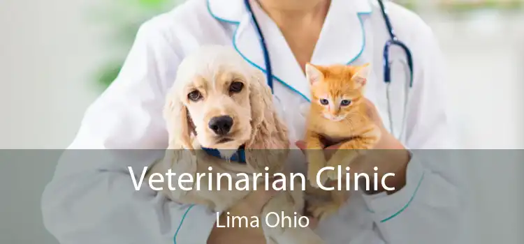 Veterinarian Clinic Lima Ohio