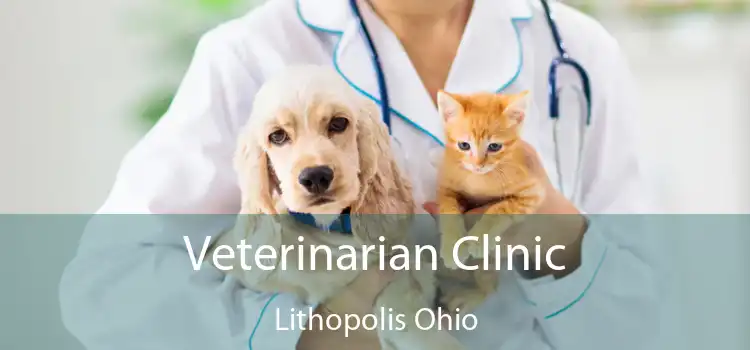 Veterinarian Clinic Lithopolis Ohio