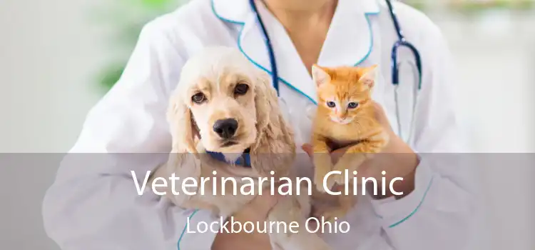 Veterinarian Clinic Lockbourne Ohio